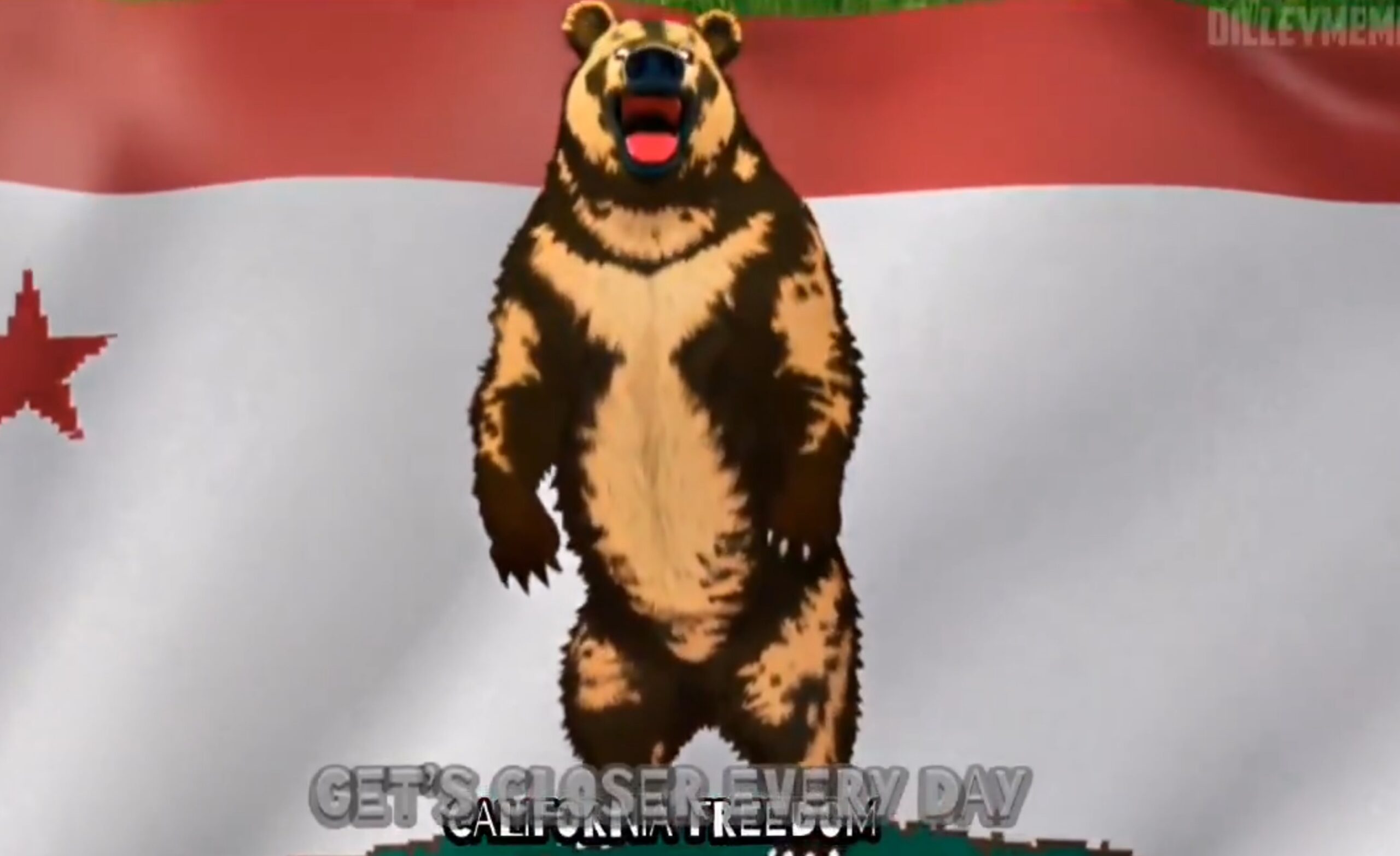 bear